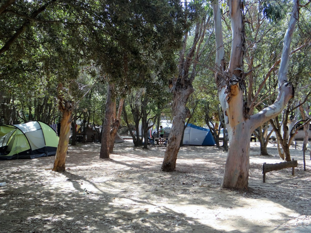 A Stella Córcega - Farinole visuel 2/4 A Stella Córcega - Farinole visuel 2/4