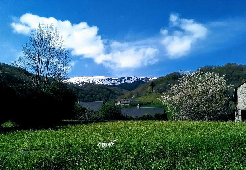 Le Saint Roch Mediodía-Pirineos - Campan visuel 1/1 Le Saint Roch Mediodía-Pirineos - Campan visuel 1/1
