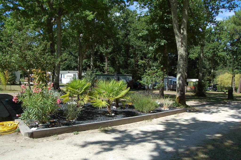 Camping de La Roche Poitou-Charentes - Vaux-sur-Mer visuel 1/3 Camping de La Roche Poitou-Charentes - Vaux-sur-Mer visuel 1/3