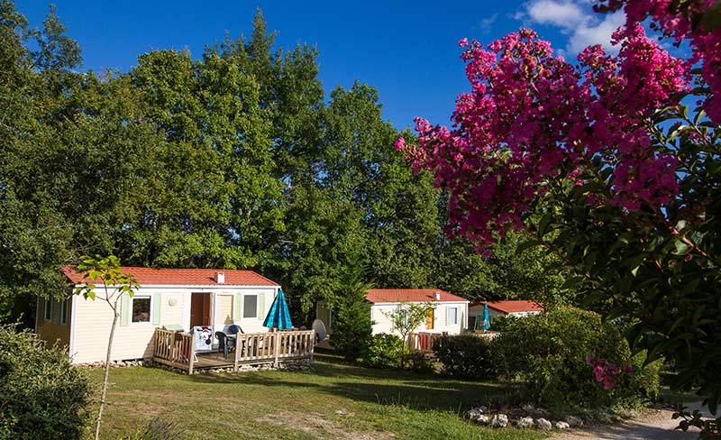 Domaine de la Faurie Mediodía-Pirineos - Séniergues visuel 14/16 Domaine de la Faurie Mediodía-Pirineos - Séniergues visuel 14/16