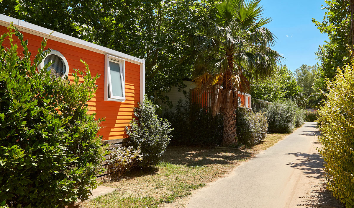 La Pinèderie Poitou-Charentes - Les Mathes-La Palmyre visuel 12/67 La Pinèderie Poitou-Charentes - Les Mathes-La Palmyre visuel 12/67