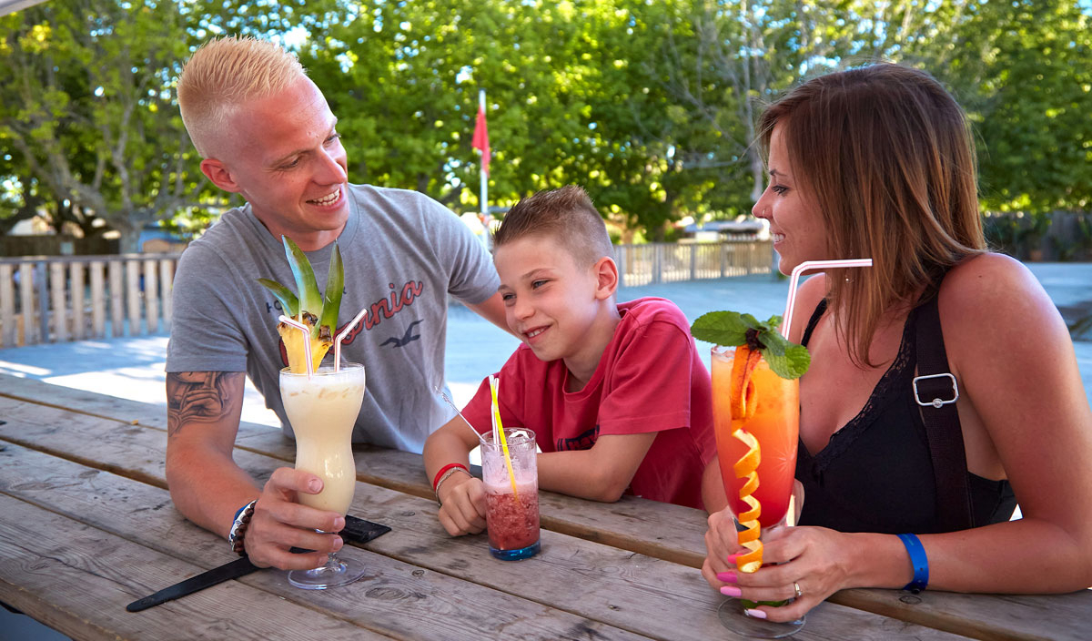 La Pinèderie Poitou-Charentes - Les Mathes-La Palmyre visuel 14/67 La Pinèderie Poitou-Charentes - Les Mathes-La Palmyre visuel 14/67