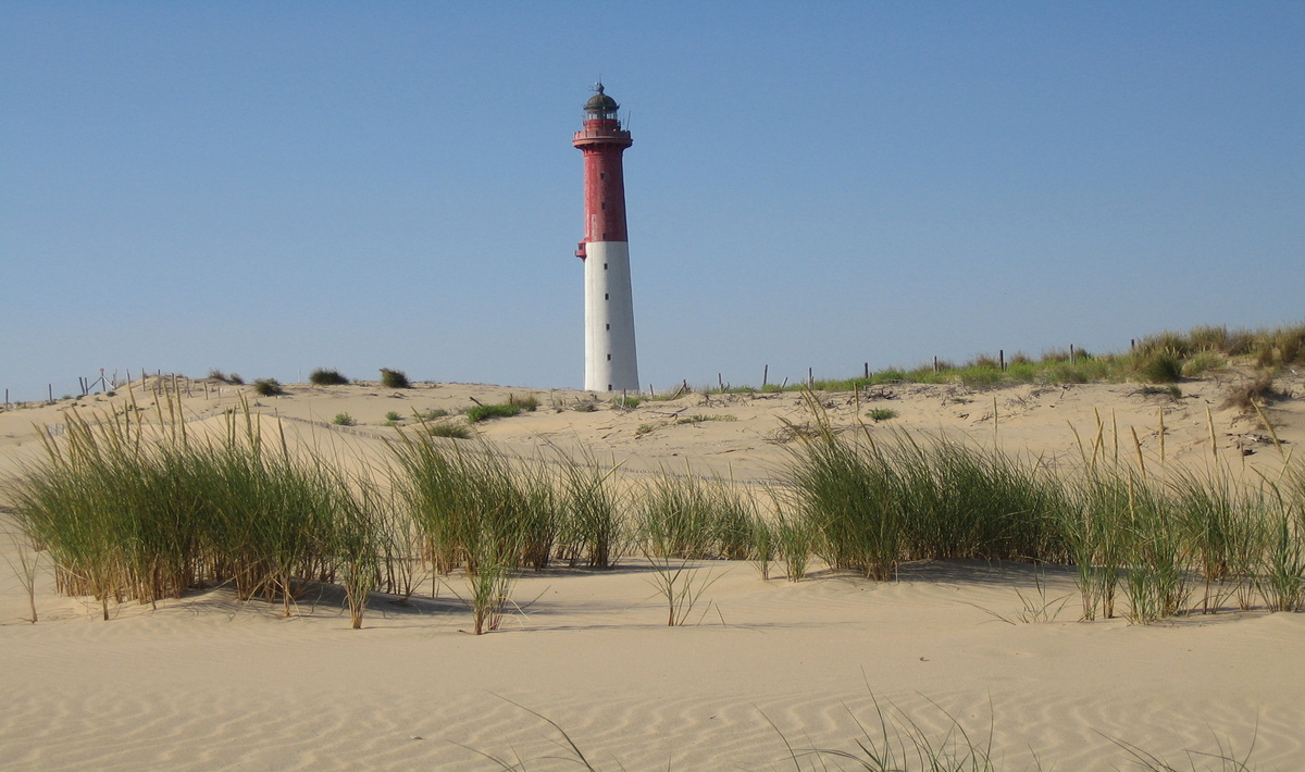 Les Charmettes Poitou-Charentes - Les Mathes-La Palmyre visuel 22/22 Les Charmettes Poitou-Charentes - Les Mathes-La Palmyre visuel 22/22