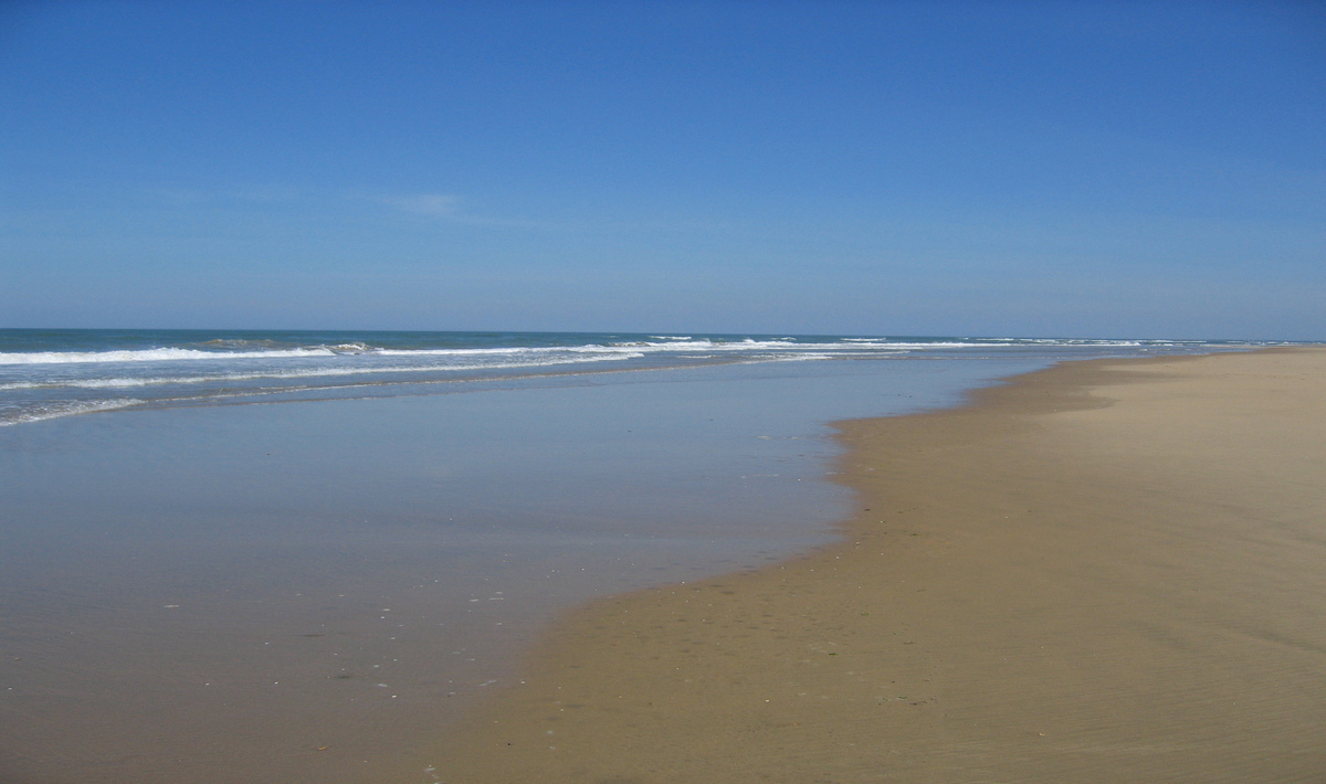 Les Charmettes Poitou-Charentes - Les Mathes-La Palmyre visuel 21/22 Les Charmettes Poitou-Charentes - Les Mathes-La Palmyre visuel 21/22